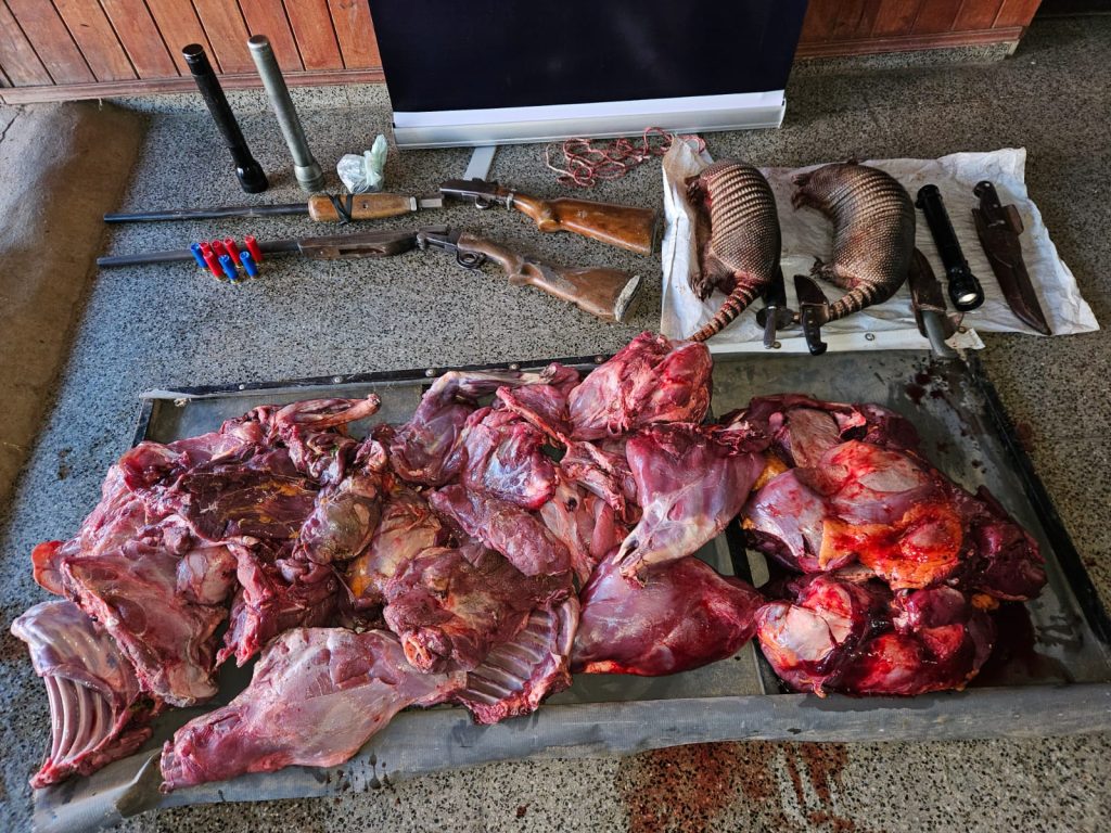 Tras operativo secuestraron animales faenados en supuesta caza ilegal Tras operativo secuestraron animales faenados en supuesta caza ilegal