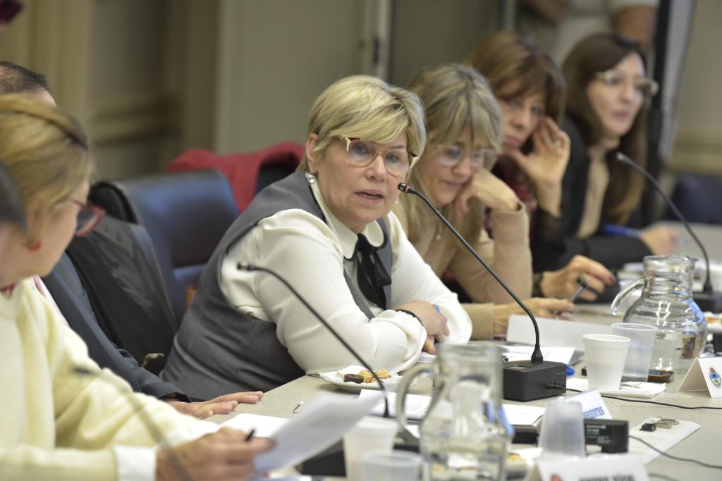La ministra chaqueña Sofía Naidenoff fue elegida como vicepresidenta del Consejo Federal de Educación