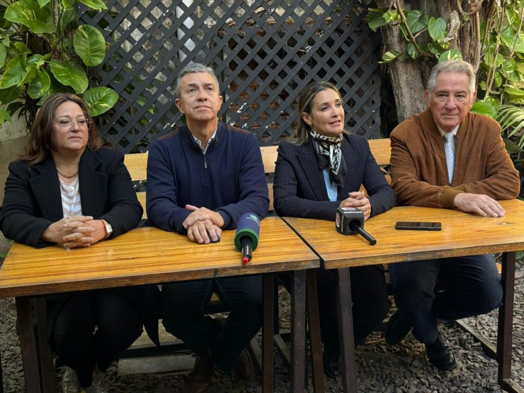 Panzardi: “Vamos Chaco es un proyecto político que vino para quedarse en la provincia”
