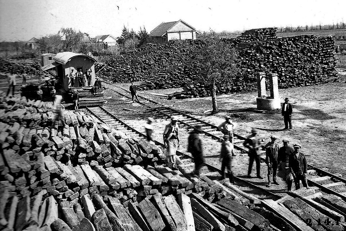 La Forestal y la devastación que duró casi un siglo La Forestal y la devastación que duró casi un siglo