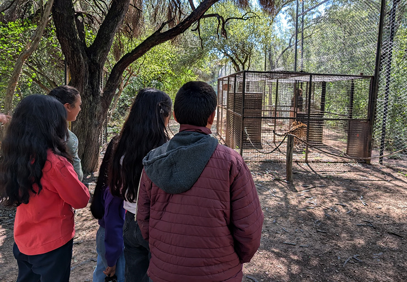 Vecinos observaron los proyectos de reintroducción del yaguareté y la tortuga yabotí Vecinos observaron los proyectos de reintroducción del yaguareté y la tortuga yabotí