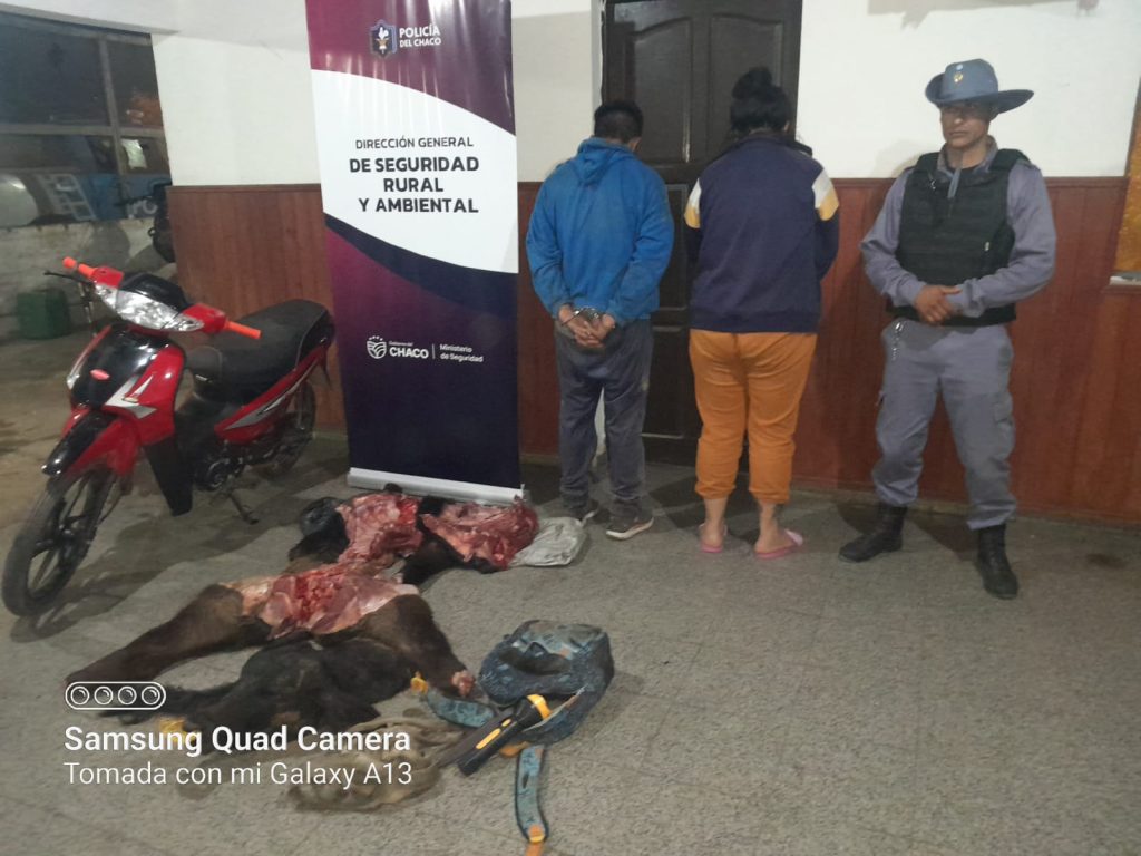 Transportaban 70 kilogramos de carne faenada: hay un detenido y secuestros