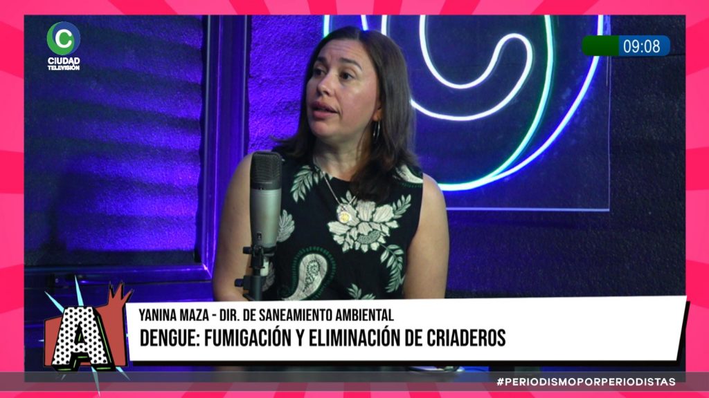Salud intensifica controles contra el dengue en el Gran Resistencia: “Necesitamos que las familias continúen con el descacharrado”