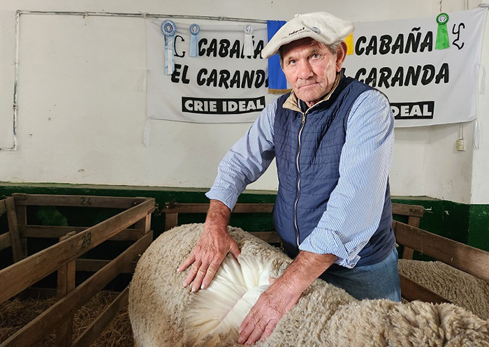 Corrientes: cae la producción ovina en el sur ante el avance de la población de jabalíes Corrientes: cae la producción ovina en el sur ante el avance de la población de jabalíes