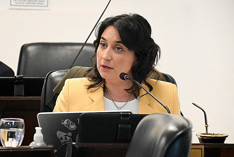 Legislatura: la diputada Pía Cavana elevó su proyecto “Cero pirotecnia sonora” Legislatura: la diputada Pía Cavana elevó su proyecto “Cero pirotecnia sonora”
