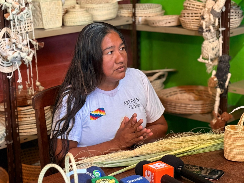 N’Tetaxanaxaqui, una experiencia colectiva que agrupa a 50 artesanas indígenas en las puertas de El Impenetrable N’Tetaxanaxaqui, una experiencia colectiva que agrupa a 50 artesanas indígenas en las puertas de El Impenetrable