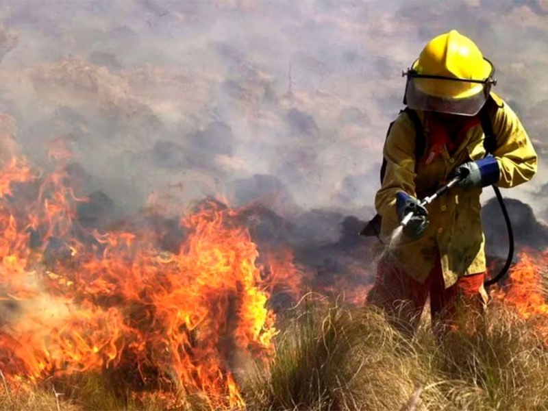 Alertan sobre un verano con alto riesgo de incendios forestales en el Chaco y piden mayor conciencia ciudadana Alertan sobre un verano con alto riesgo de incendios forestales en el Chaco y piden mayor conciencia ciudadana