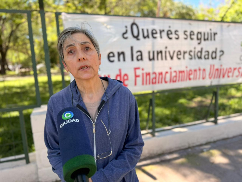 Paro universitario para que se aplique la ley de financiamiento: “En 19 meses de gobierno de Milei hemos perdido entre 6 y 7 salarios” Paro universitario para que se aplique la ley de financiamiento: “En 19 meses de gobierno de Milei hemos perdido entre 6 y 7 salarios”