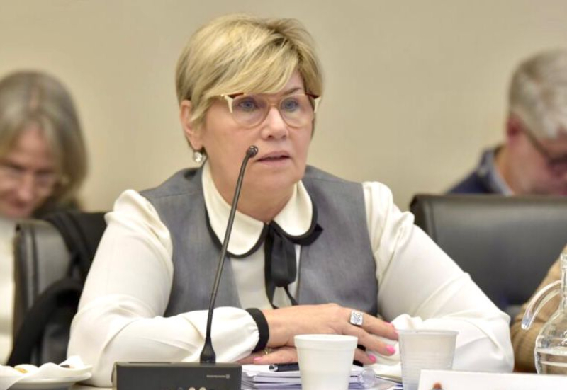 Naidenoff destacó los avances en las aulas con la entrega de libros para los tres ciclos de escuelas primarias Naidenoff destacó los avances en las aulas con la entrega de libros para los tres ciclos de escuelas primarias