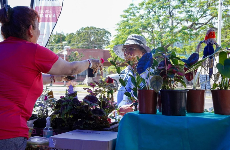 La Feria Tu Punto Verde estará este jueves en el Sindicato de Petroleros de la ciudad portuaria La Feria Tu Punto Verde estará este jueves en el Sindicato de Petroleros de la ciudad portuaria
