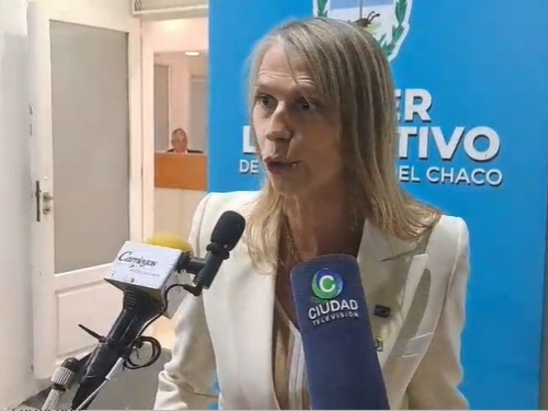 Chomiak: “Se va a requerir de mucho diálogo y es lo que queremos aportar” Chomiak: “Se va a requerir de mucho diálogo y es lo que queremos aportar”