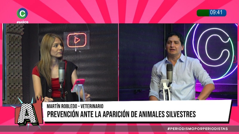 Caso de rabia en un aguará guazú: advierten evitar el contacto con fauna silvestre Caso de rabia en un aguará guazú: advierten evitar el contacto con fauna silvestre