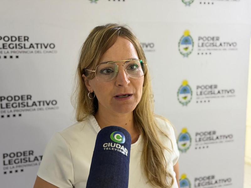 Audiencia pública por apps de viajes en Resistencia: “La política tiene que actuar preventivamente” Audiencia pública por apps de viajes en Resistencia: “La política tiene que actuar preventivamente”