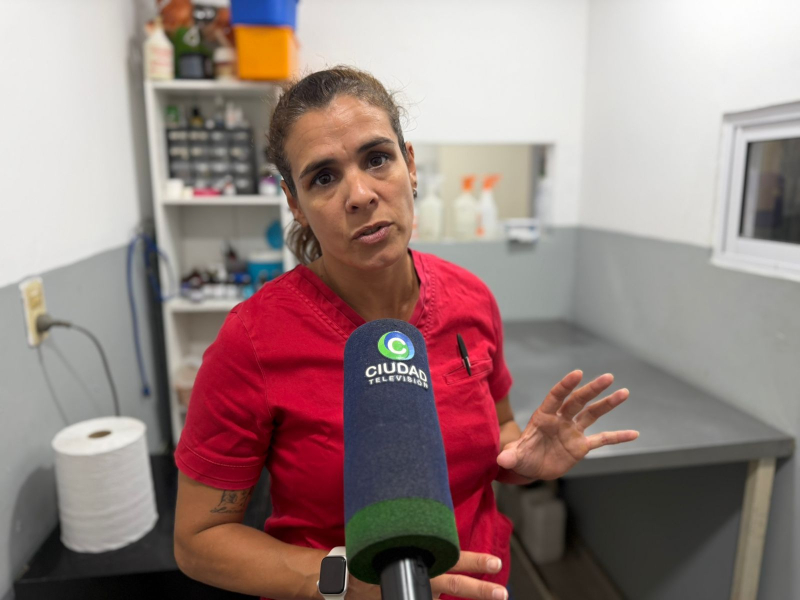 Mascotas y pirotecnia: “Sedarlos solo los inmoviliza, pero están captando todo lo que sucede en el medio” Mascotas y pirotecnia: “Sedarlos solo los inmoviliza, pero están captando todo lo que sucede en el medio”