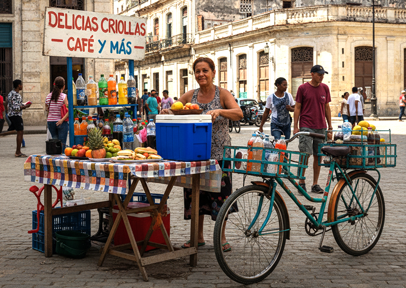 Avance del cuentapropismo: trepan un 4,1% en 2025 mientras asalariados caen 3,6% Avance del cuentapropismo: trepan un 4,1% en 2025 mientras asalariados caen 3,6%