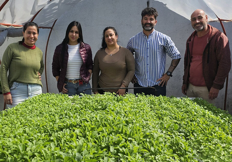 Un emprendimiento en crecimiento: Verdeponia es referente de la hidroponía urbana en Resistencia Un emprendimiento en crecimiento: Verdeponia es referente de la hidroponía urbana en Resistencia