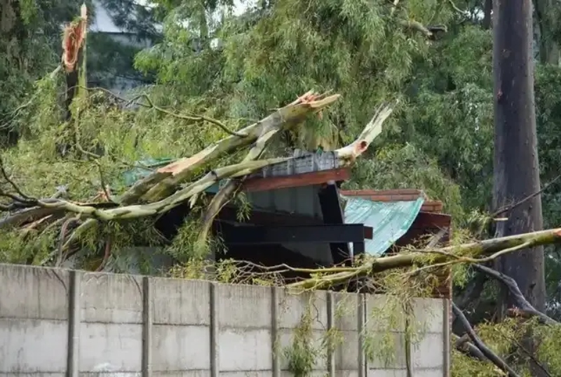 Un violento temporal azotó el sur santafesino: tornado y destrozos en Montes de Oca y Bouquet Un violento temporal azotó el sur santafesino: tornado y destrozos en Montes de Oca y Bouquet