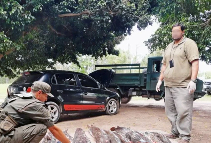 Secuestraron más de 400 kilos de pescados en dos procedimientos en Corrientes Secuestraron más de 400 kilos de pescados en dos procedimientos en Corrientes