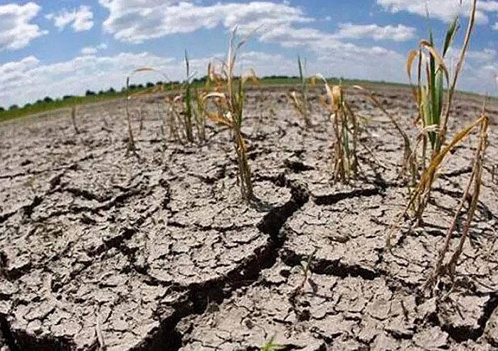 El mundo entra en la era de la bancarrota hídrica global, según la ONU El mundo entra en la era de la bancarrota hídrica global, según la ONU