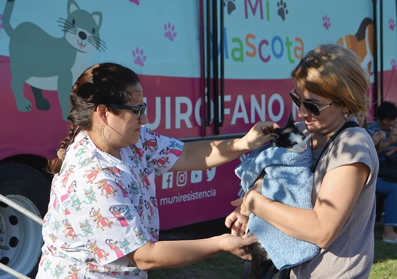 En el barrio Mercantil seguirá este martes programa de castración gratuita de mascotas En el barrio Mercantil seguirá este martes programa de castración gratuita de mascotas