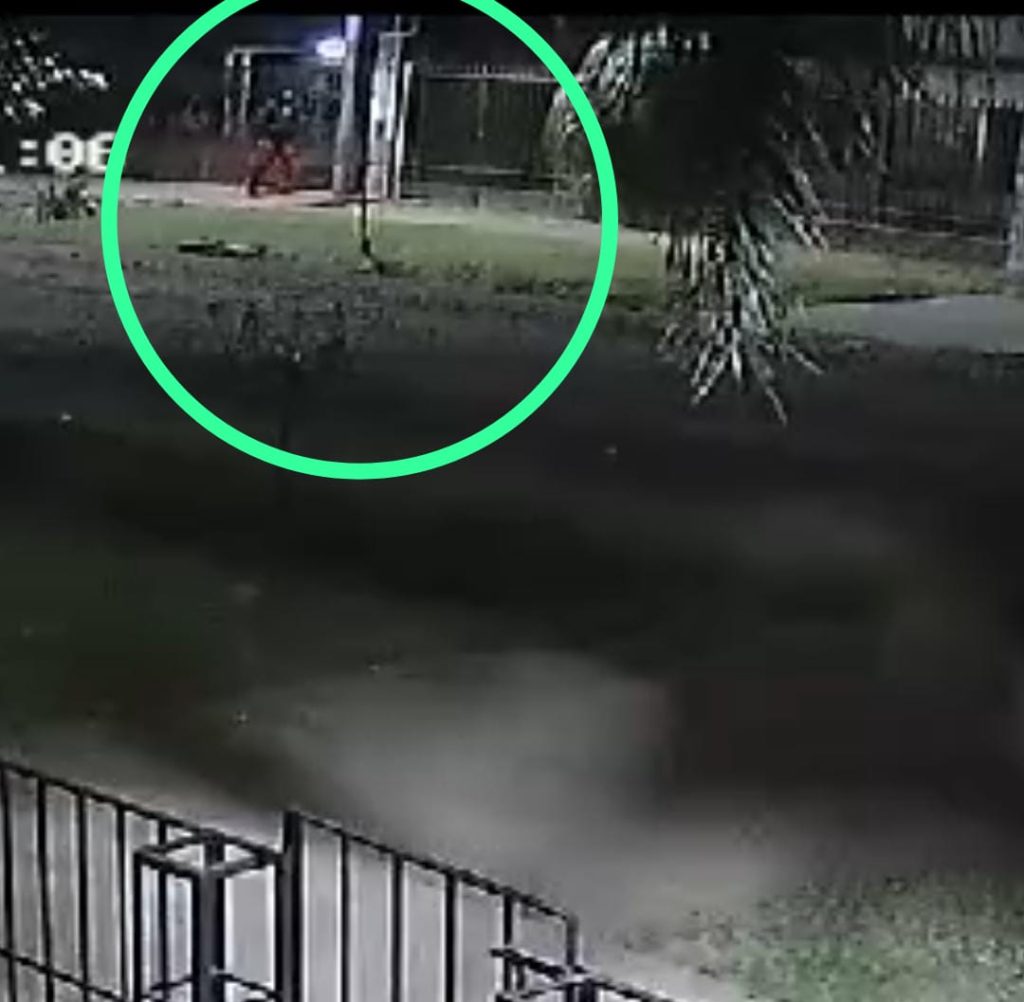 Las cámaras de los vecinos ayudaron a que atraparan a un sujeto que entró a una casa a robar