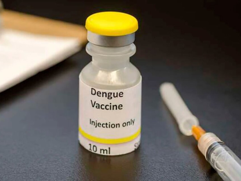 Solicitan que el gobierno del Chaco entregue vacunas gratuitas contra el dengue Solicitan que el gobierno del Chaco entregue vacunas gratuitas contra el dengue