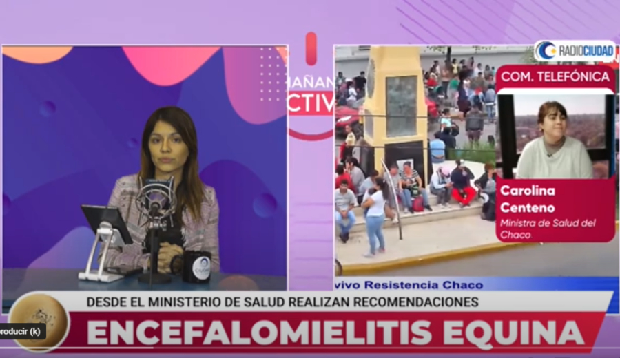 Encefalomielitis equina: “No hay ninguna confirmación en seres humanos y no hay ningún caso sospechoso tampoco” Encefalomielitis equina: “No hay ninguna confirmación en seres humanos y no hay ningún caso sospechoso tampoco”