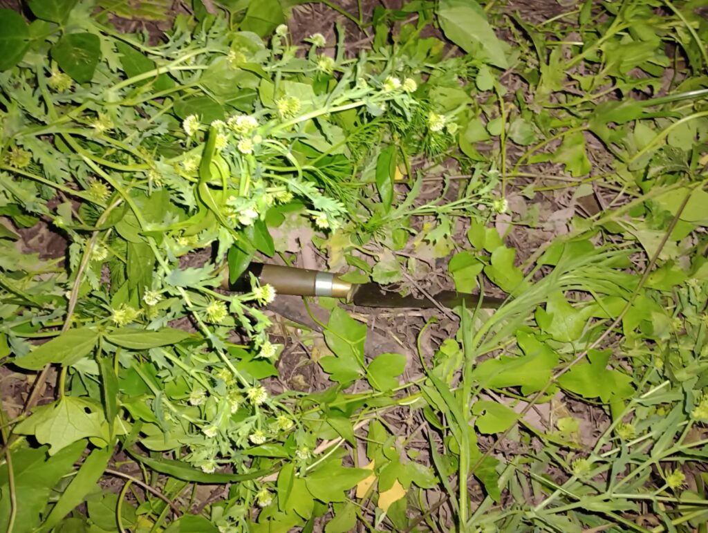 Un hombre fue asesinado a puñaladas por el exnovio de su actual pareja