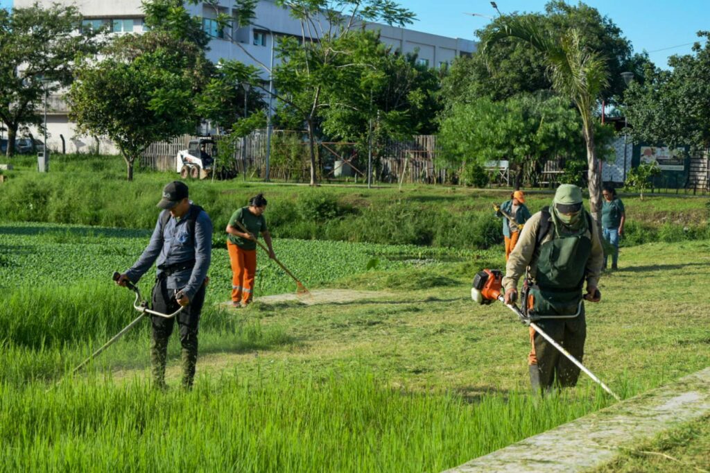 Operativo de limpieza en barrios y desmalezamiento en la Laguna Argüello