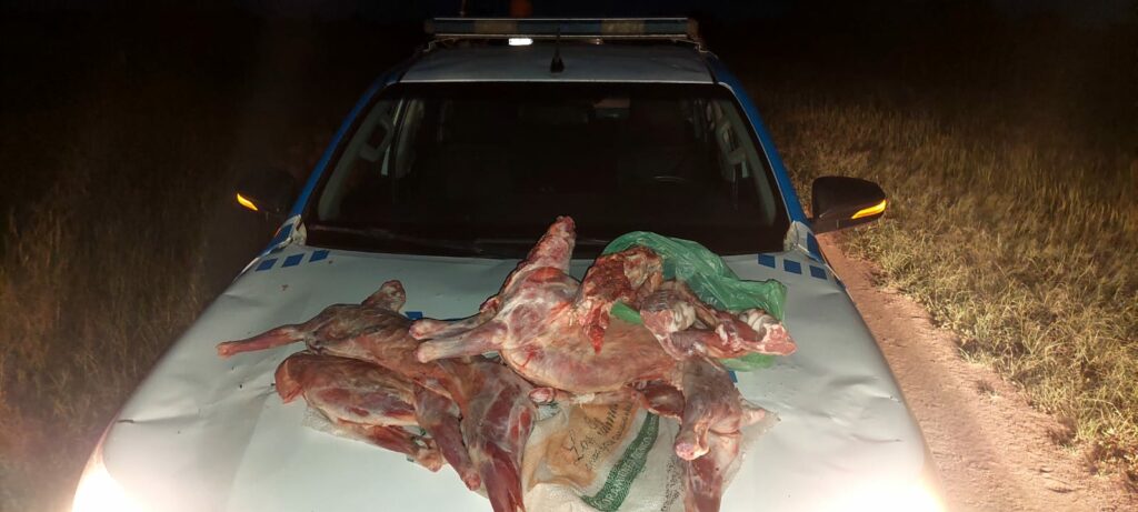 Combate al abigeato: secuestraron rifles, escopetas y carne faenada