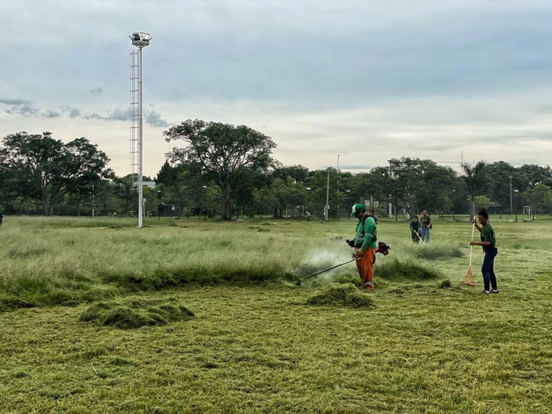 Limpieza y desmalezamiento en el Parque de la Democracia y distintos sectores de la ciudad Limpieza y desmalezamiento en el Parque de la Democracia y distintos sectores de la ciudad