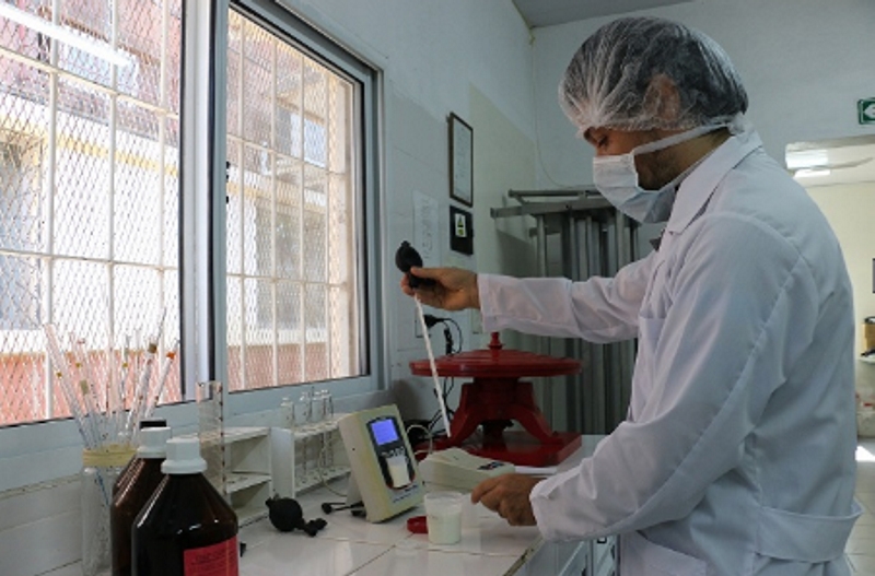 Leche de Búfala: una investigación podría impulsar la industria y el comercio de lácteos Leche de Búfala: una investigación podría impulsar la industria y el comercio de lácteos