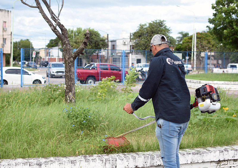 Educación: continúan las tareas de limpieza y desmalezamiento en las escuelas Educación: continúan las tareas de limpieza y desmalezamiento en las escuelas