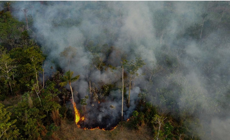 El cambio climático fue “el principal responsable” de la sequía de la Amazonia El cambio climático fue “el principal responsable” de la sequía de la Amazonia