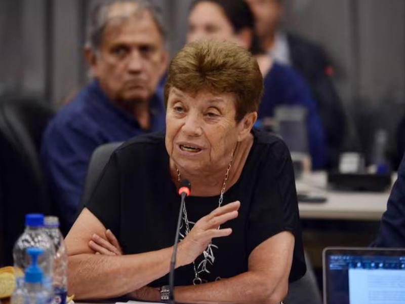 “Es un peligro”: juristas y académicos pidieron quitar la reforma del Código Civil de la ley ómnibus “Es un peligro”: juristas y académicos pidieron quitar la reforma del Código Civil de la ley ómnibus