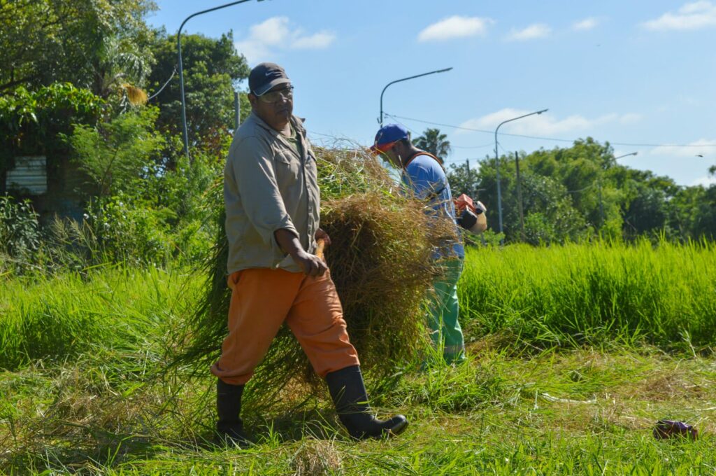 La Municipalidad trabaja en la recuperación de espacios verdes para uso recreativo