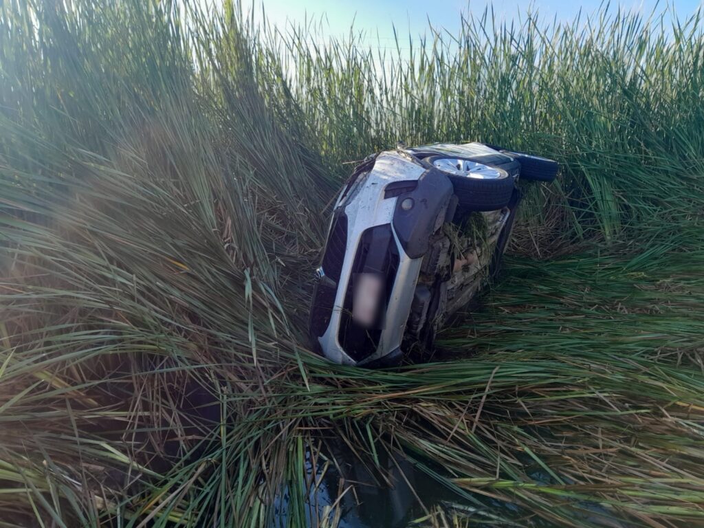 Familia oriunda de Paraguay volcó tras esquivar un animal suelto en Puerto Eva Perón