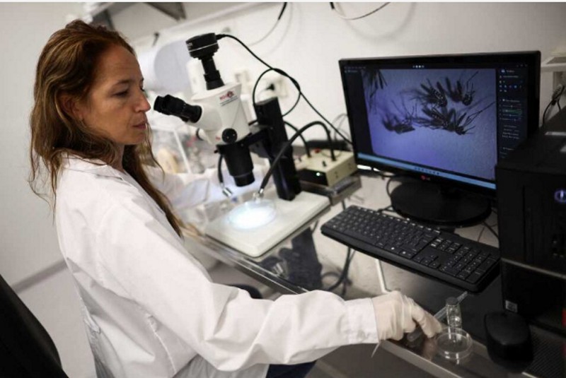 Reportan el primer caso de Dengue del 2026 en Corrientes Reportan el primer caso de Dengue del 2026 en Corrientes