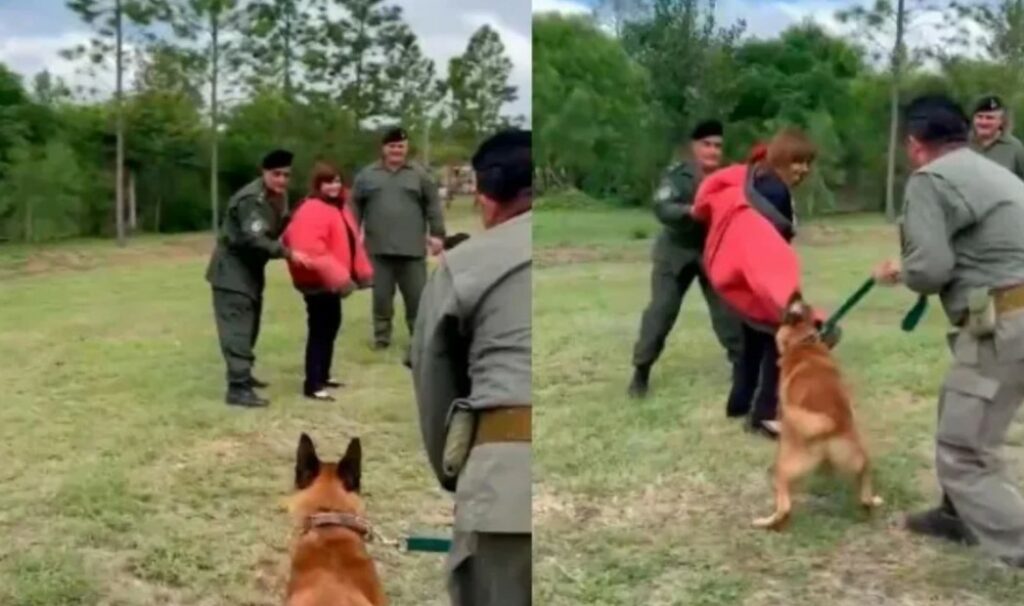 “Uhiii!…” La prueba con perros de Patricia Bullrich que casi termina mal