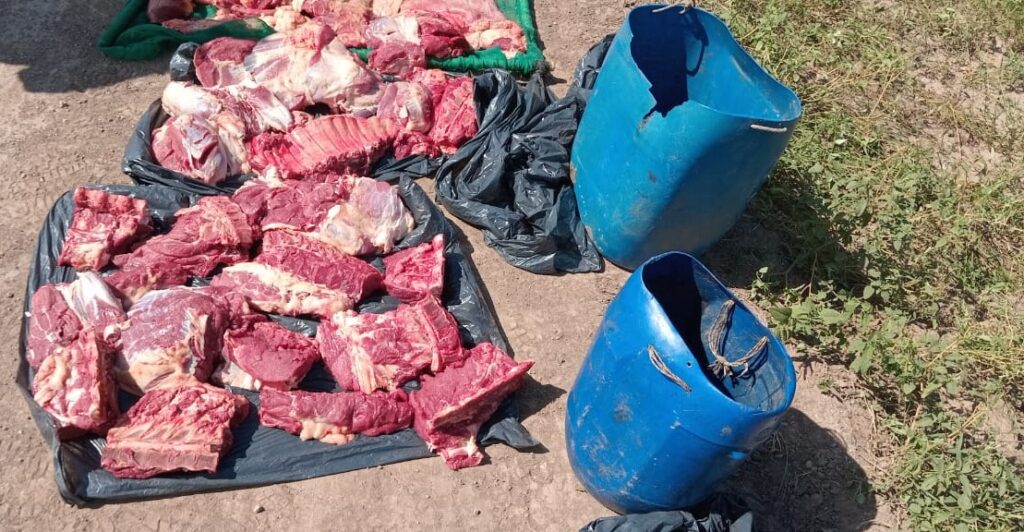 Transportaba 70 kilos de carne no apta para consumo humano en Makallé