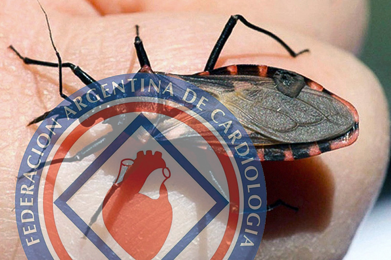 Mal de Chagas: crece el contagio de madre a hijo Mal de Chagas: crece el contagio de madre a hijo