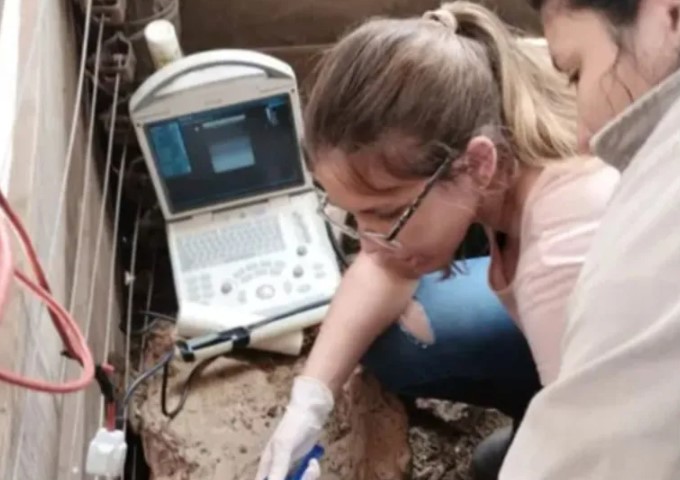 Se publicó el trabajo de investigación de una becaria de la UNCAUS en un revista científica mexicana Se publicó el trabajo de investigación de una becaria de la UNCAUS en un revista científica mexicana