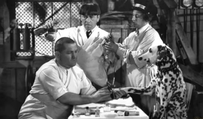 El lado desconocido de Curly, el “Chiflado” más bueno: rescató de la calle a más de 5 mil perros y les encontró hogar El lado desconocido de Curly, el “Chiflado” más bueno: rescató de la calle a más de 5 mil perros y les encontró hogar