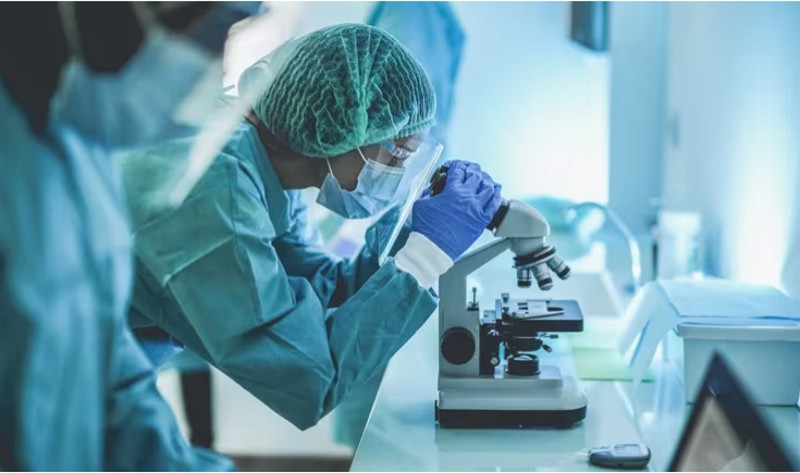 Avance histórico en la lucha contra la ELA: científicos canadienses desarrollan un tratamiento clave para su cura Avance histórico en la lucha contra la ELA: científicos canadienses desarrollan un tratamiento clave para su cura