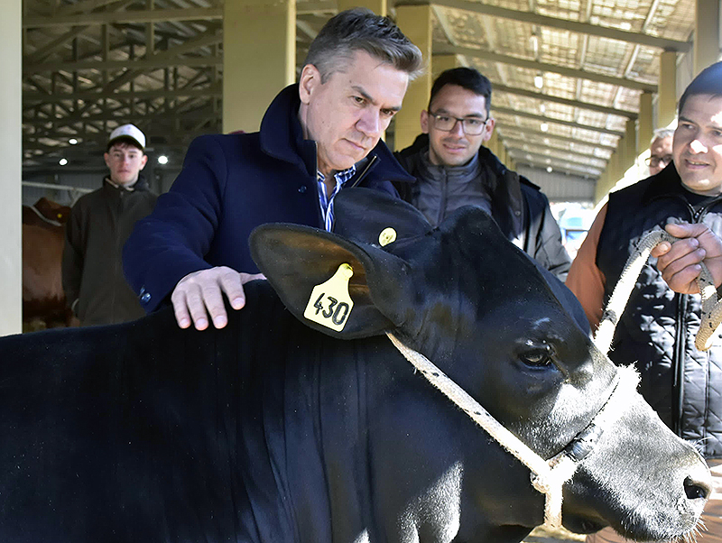 El Gobernador acompañó a ‘Cabañas Chaqueñas’ en la Expo Nacional de Razas en Corrientes El Gobernador acompañó a ‘Cabañas Chaqueñas’ en la Expo Nacional de Razas en Corrientes