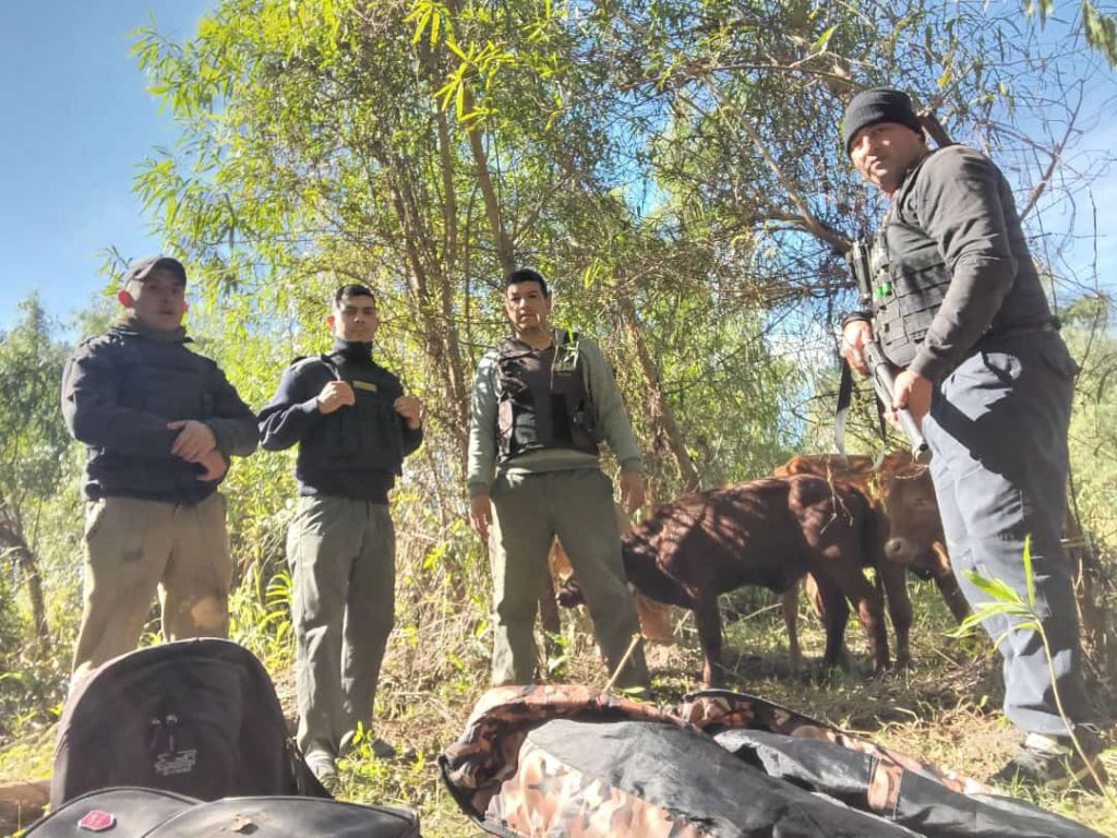 Recuperan animales que iban a ser destinados a la faena clandestina