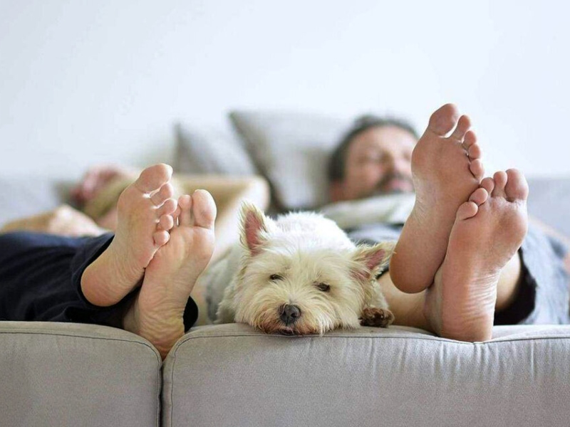 Casi un tercio de la población mundial adulta en riesgo por falta de actividad física Casi un tercio de la población mundial adulta en riesgo por falta de actividad física