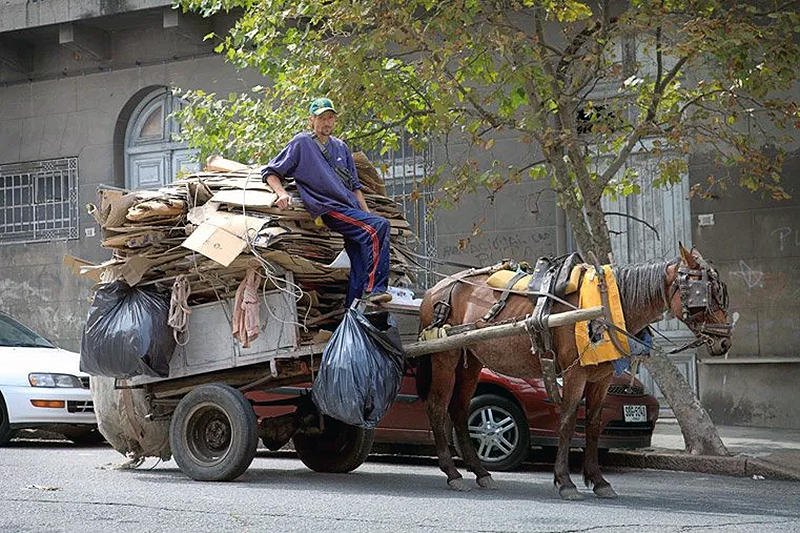 Darío Sardi: “Trabajamos para una erradicación real de los carros en Resistencia” Darío Sardi: “Trabajamos para una erradicación real de los carros en Resistencia”