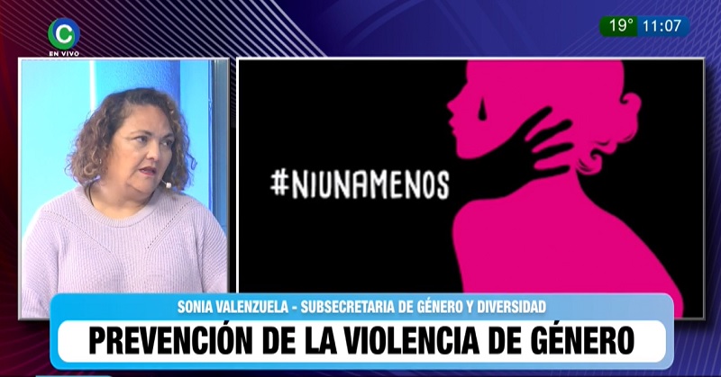 Violencia de género: “Estamos apagando muchos incendios, pero trabajando fuertemente para la prevención” Violencia de género: “Estamos apagando muchos incendios, pero trabajando fuertemente para la prevención”
