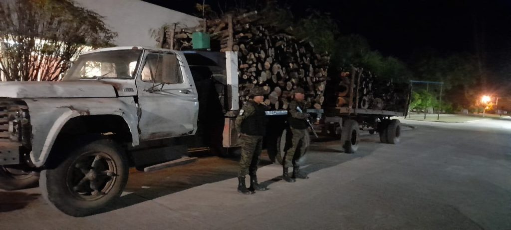 Transportaba leña con guía vencida